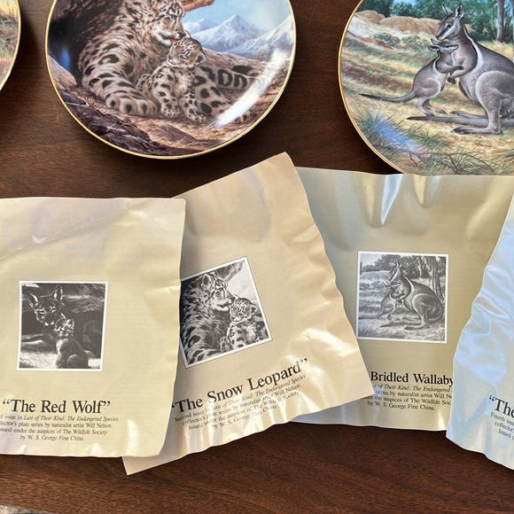 Endangered species collection. Kangaroos, elephants, Leopards and red wolf. - Picture 1 of 7